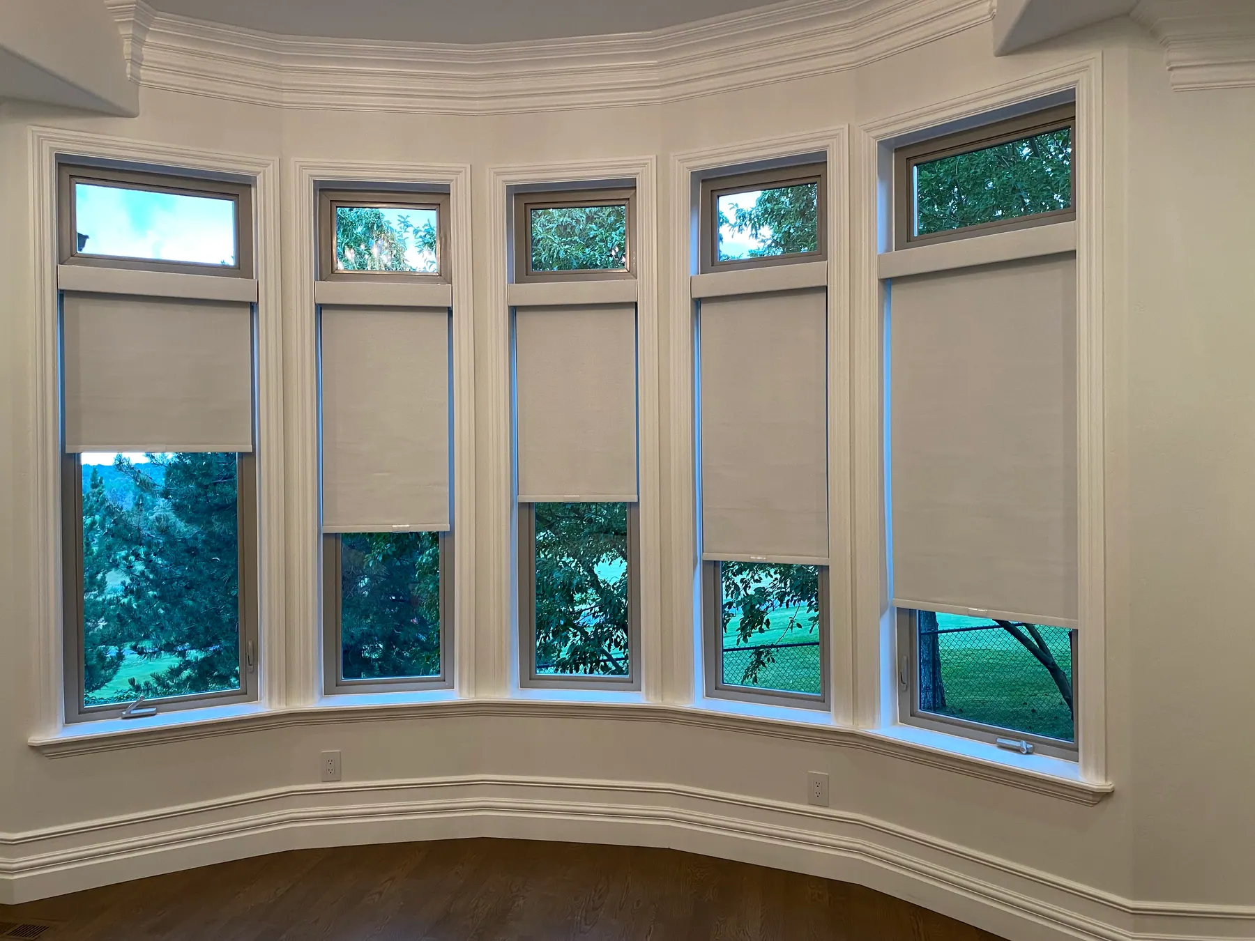 Roller shades raised to different heights across a curved bay of five windows, with trees visible below and clear transoms above.