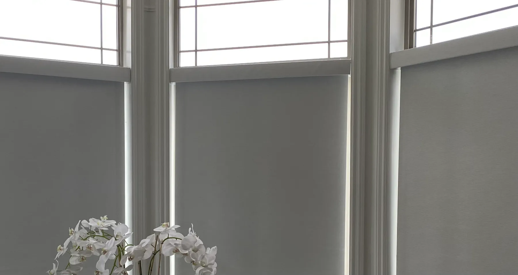 Grey roller shades lowered in three bay windows beneath gridded transom windows, with white orchids in the foreground.